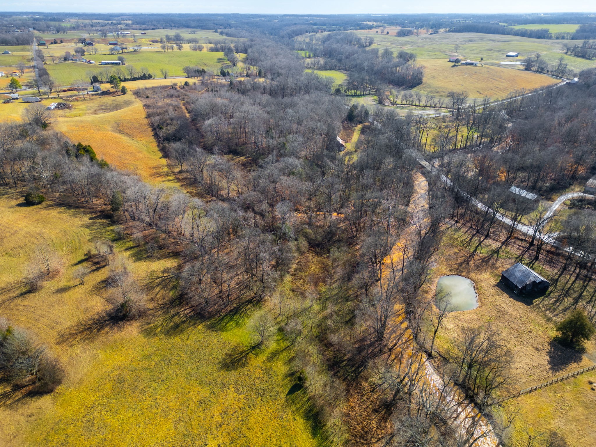 0 Buzzard Creek Road Property Photo 16