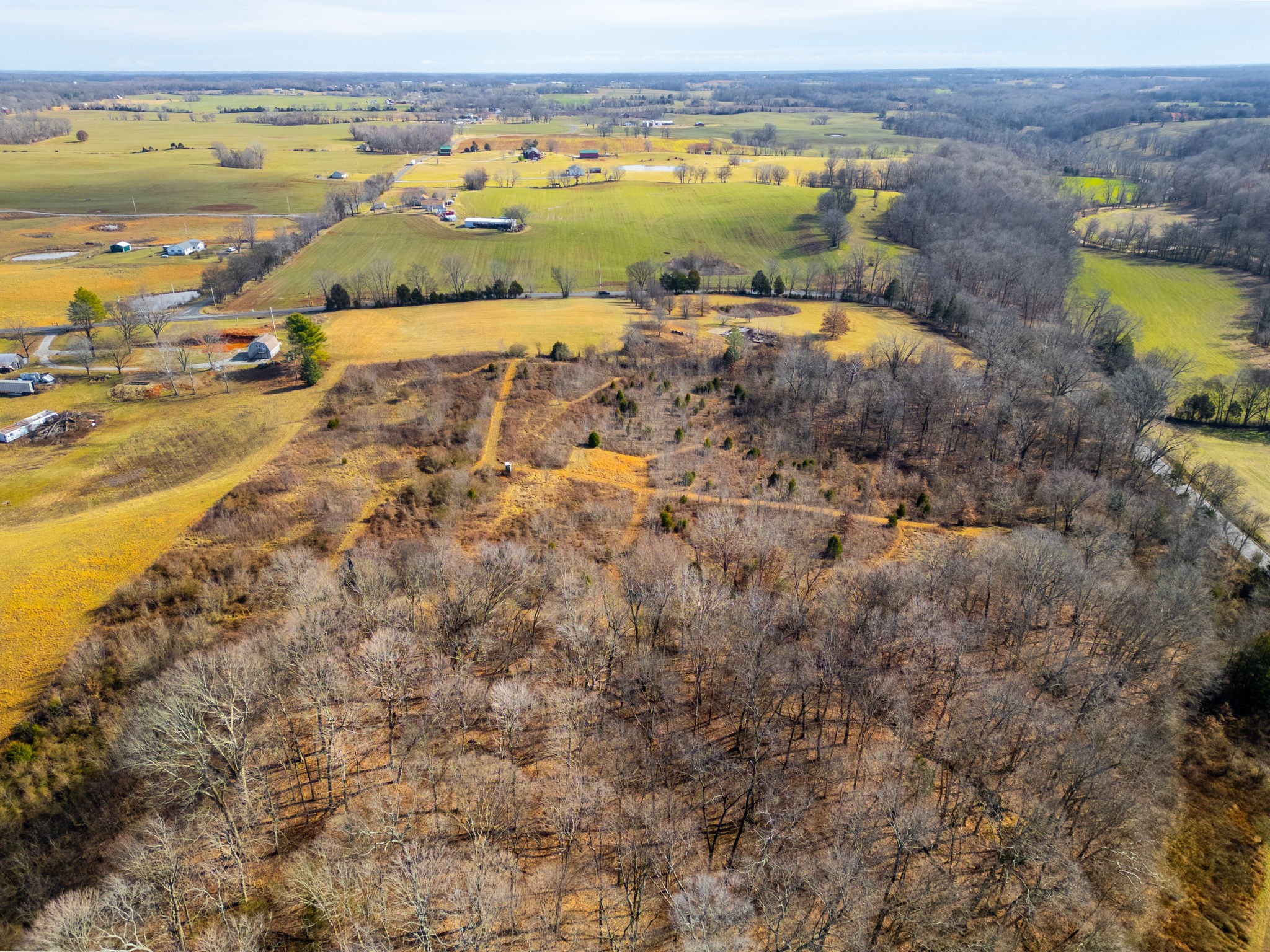 0 Buzzard Creek Road Property Photo 19