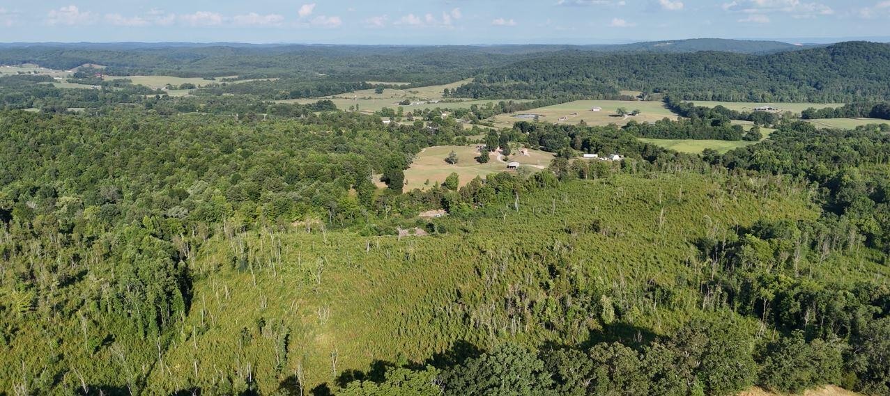 0 Big Sewee Lot 1 Road Property Photo 11