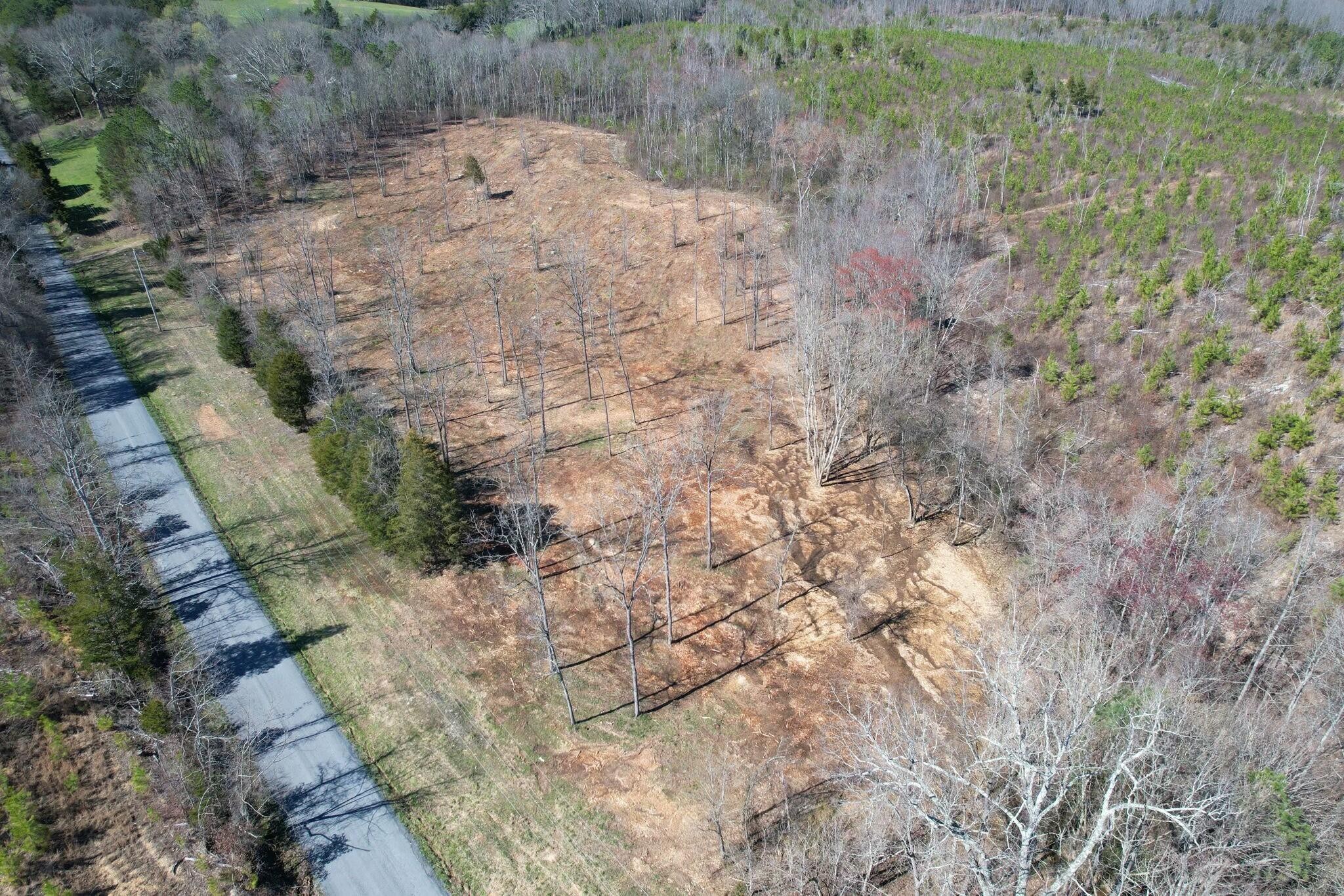 0 Big Sewee Lot 2 Road Property Photo 3