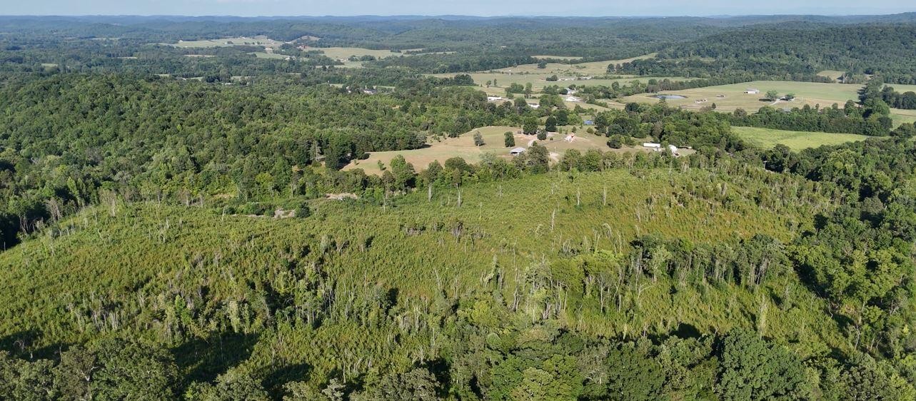 0 Big Sewee Lot 2 Road Property Photo 16