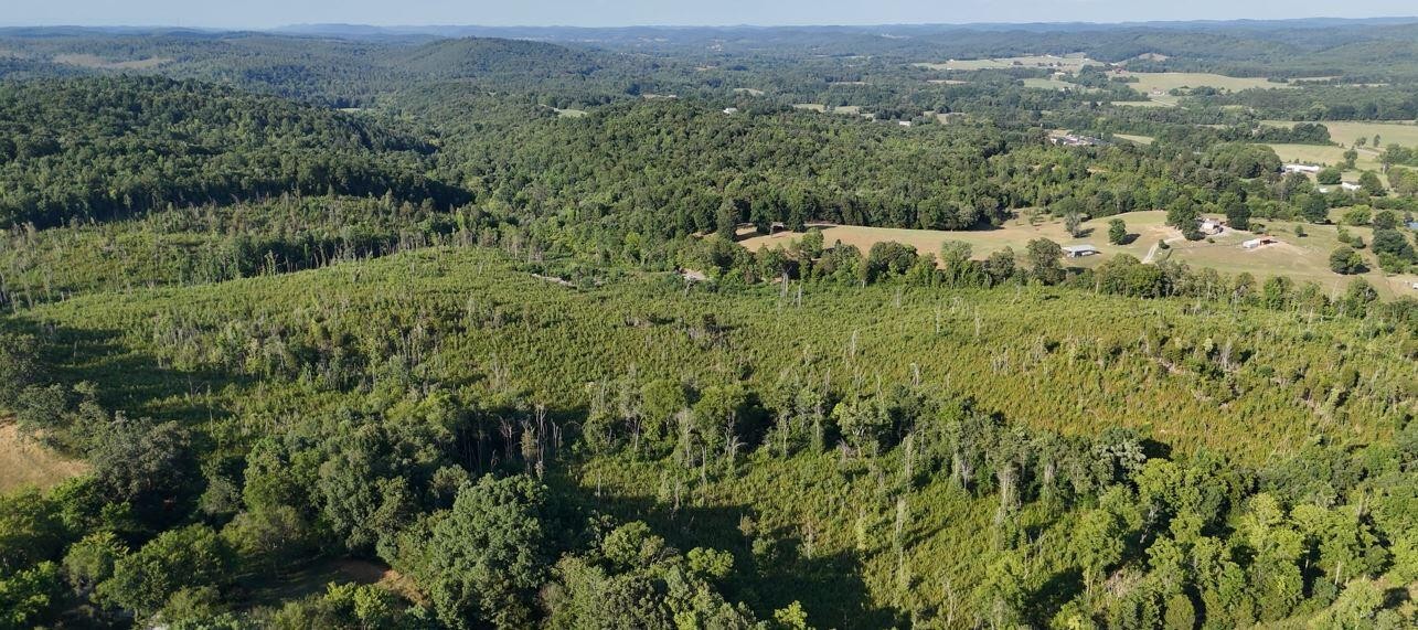 0 Big Sewee Lot 2 Road Property Photo 17