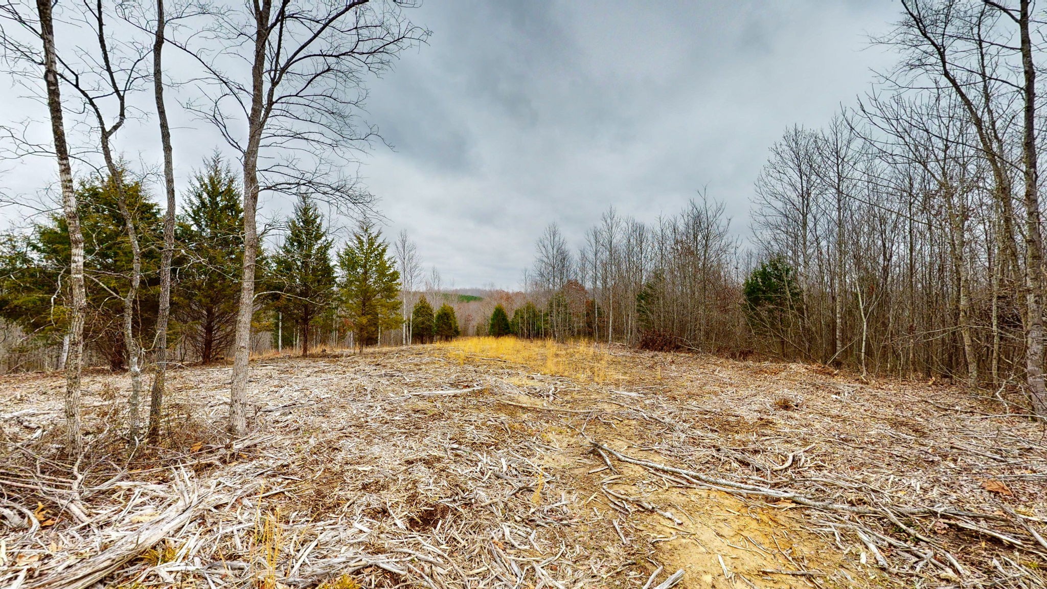 0 Horseshoe Hollow Rd Property Photo 5
