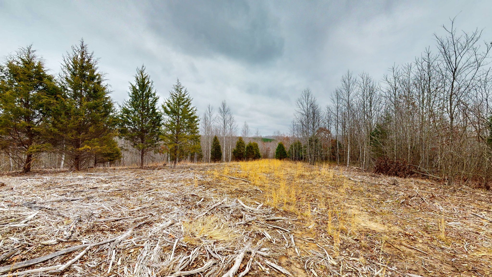 0 Horseshoe Hollow Rd Property Photo 6