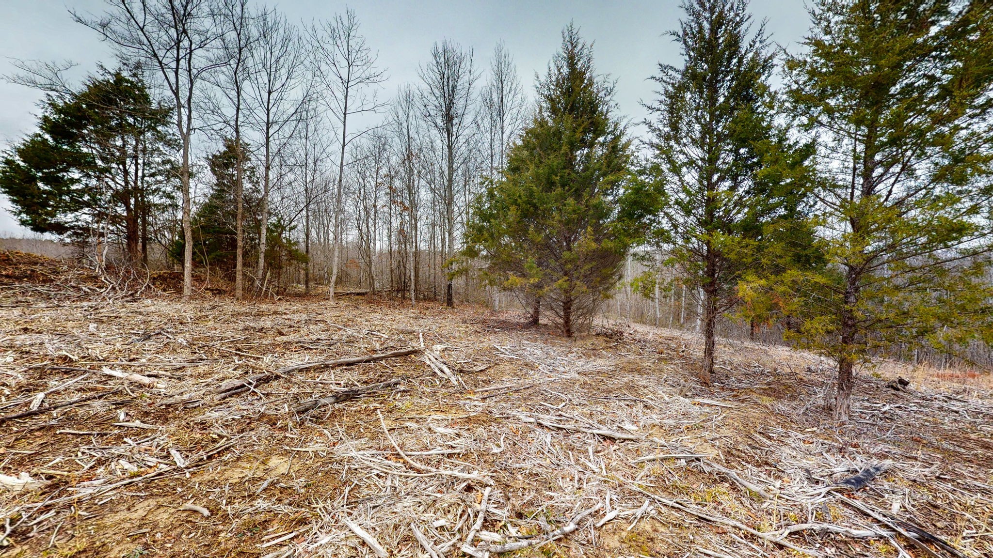 0 Horseshoe Hollow Rd Property Photo 7