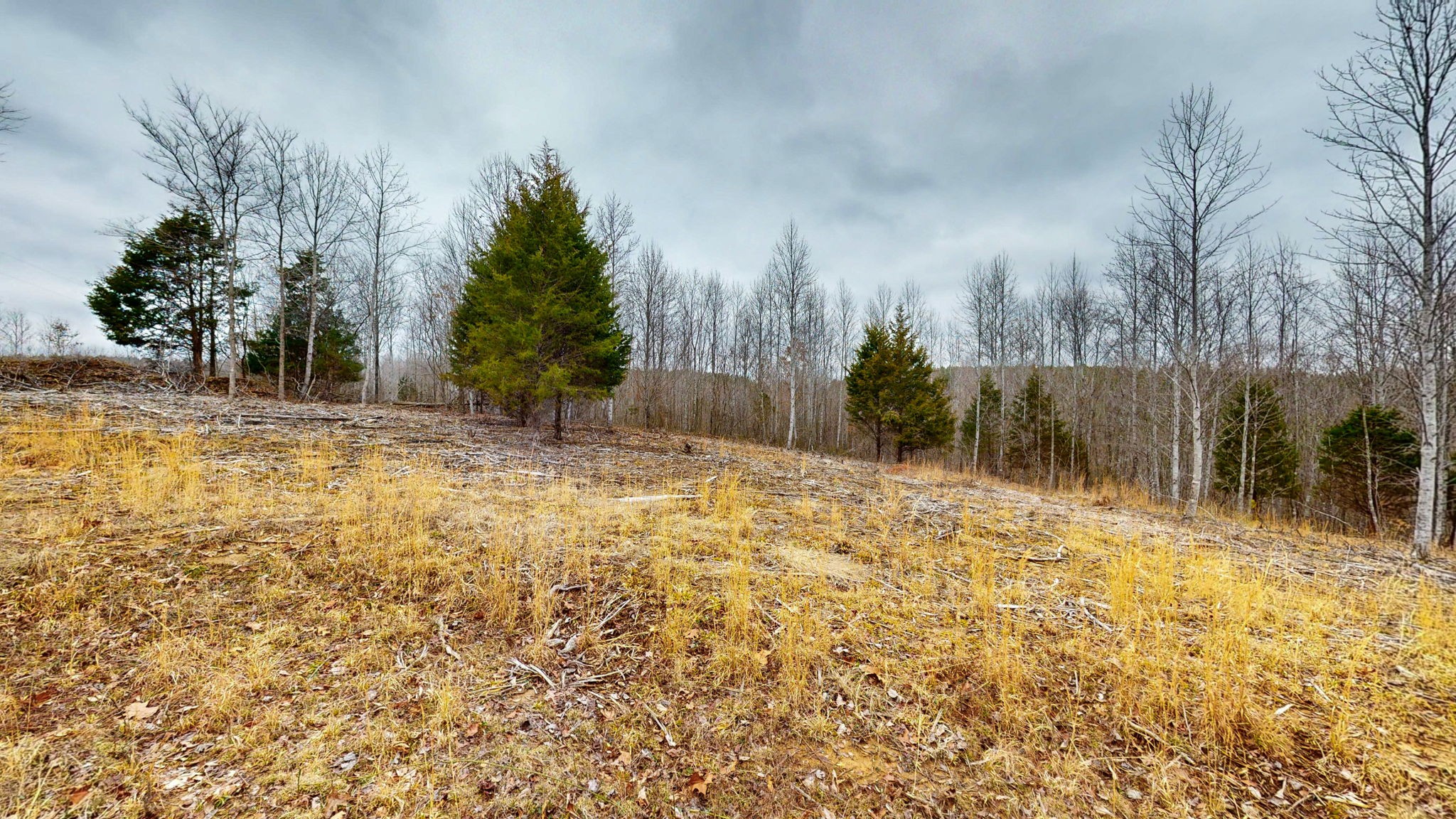 0 Horseshoe Hollow Rd Property Photo 10