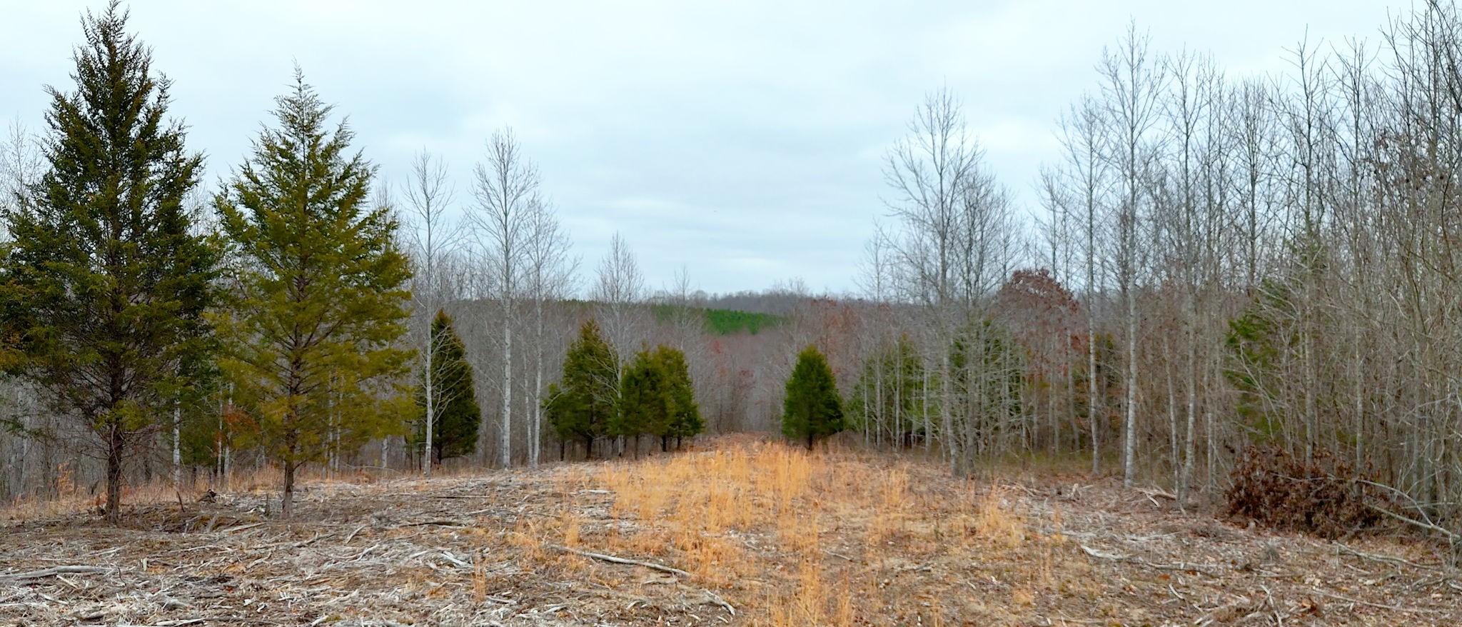 0 Horseshoe Hollow Rd Property Photo 19