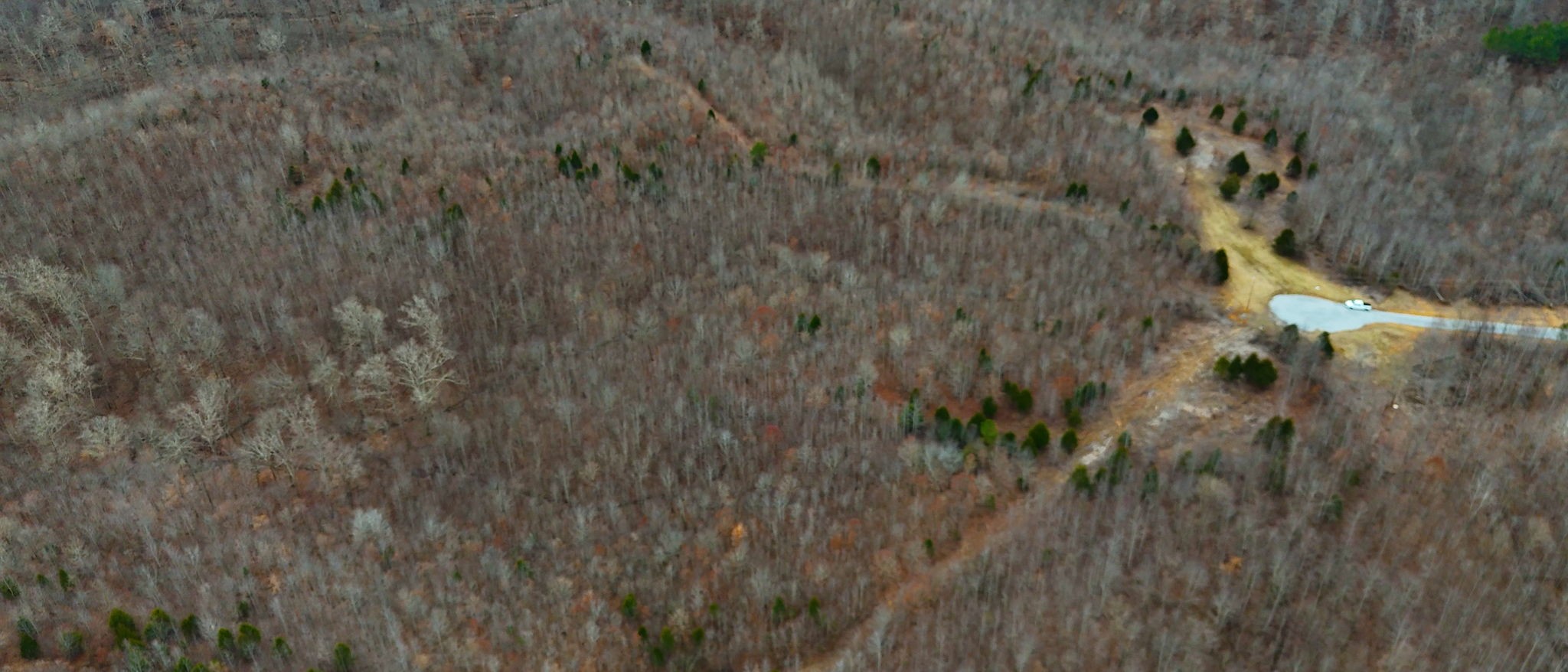 0 Horseshoe Hollow Rd Property Photo 23