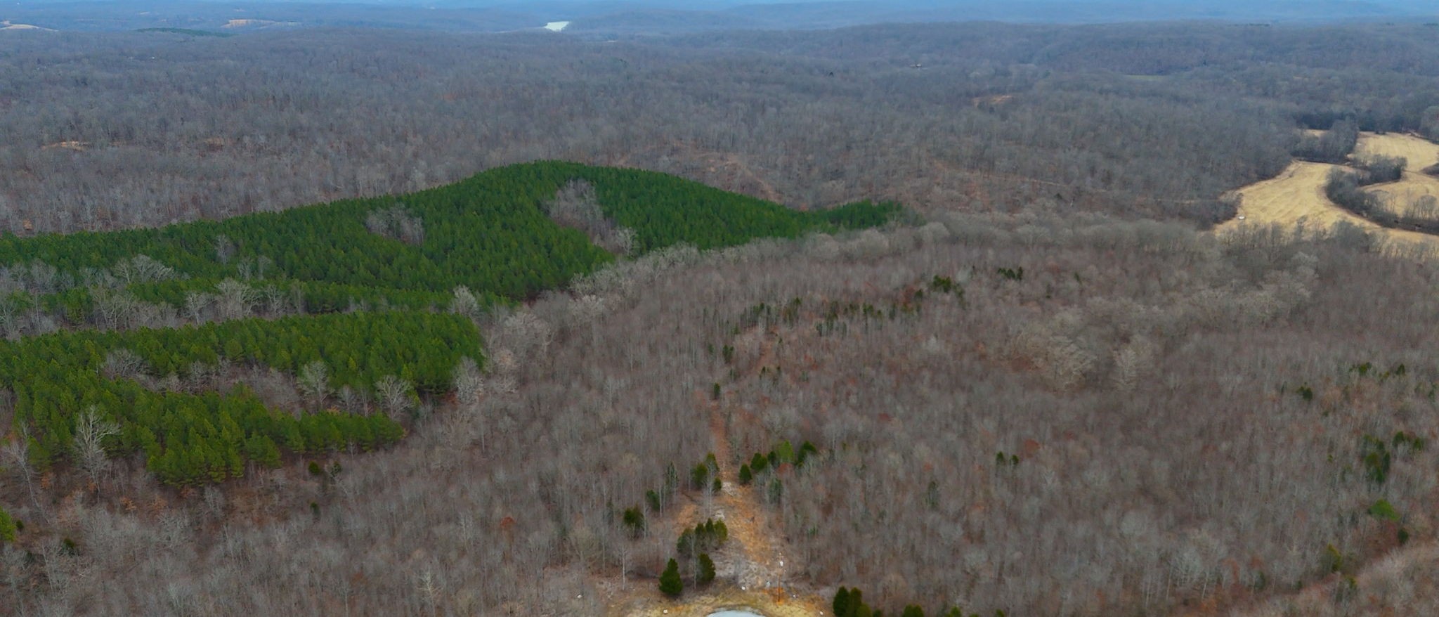 0 Horseshoe Hollow Rd Property Photo 24
