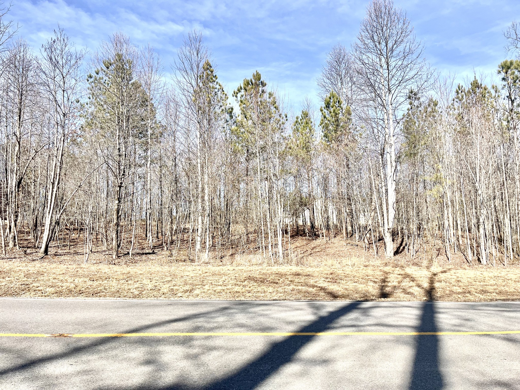 0 Crockett Pointe Property Photo 3