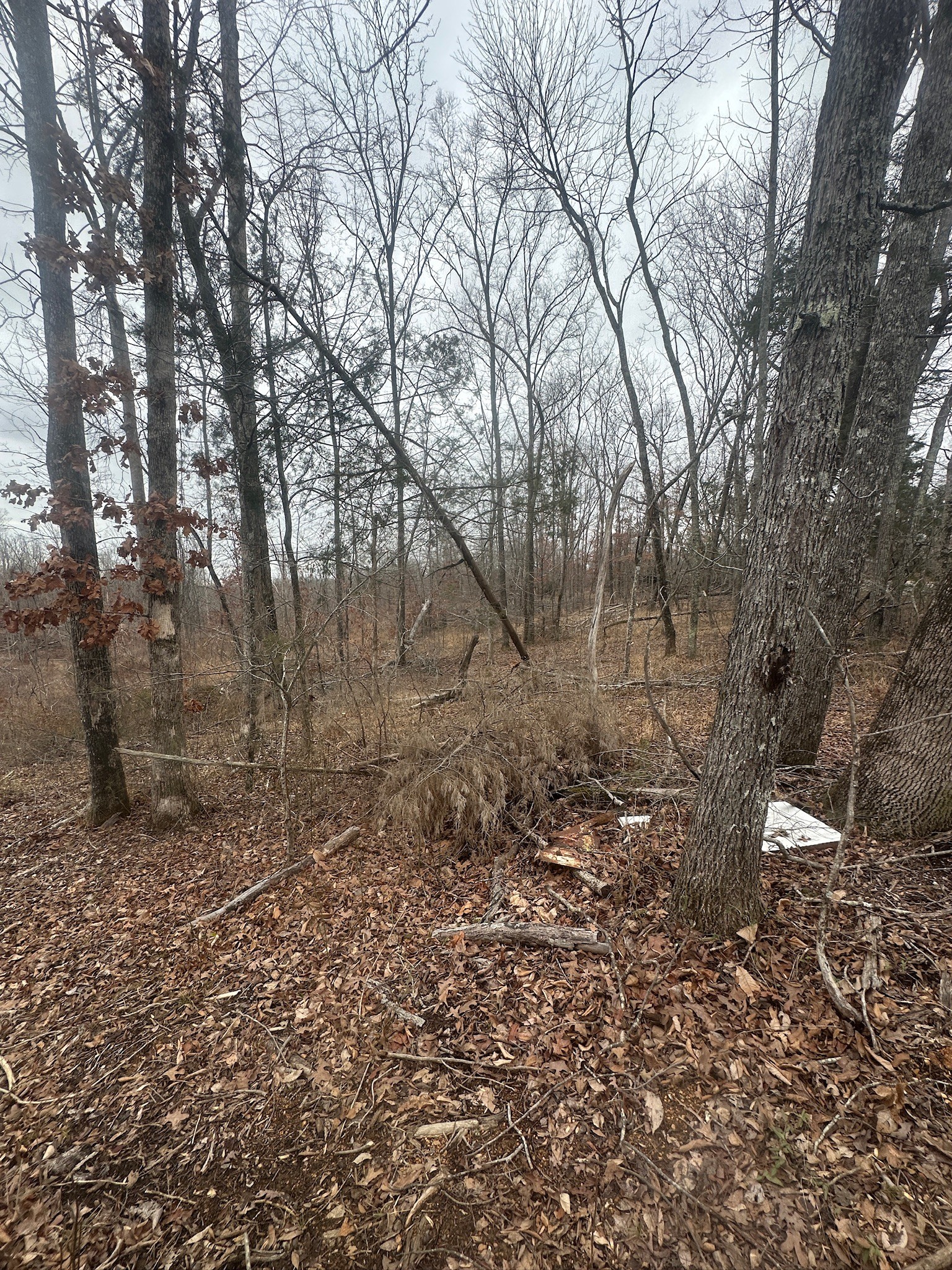 0 Glendale Rd Property Photo 1