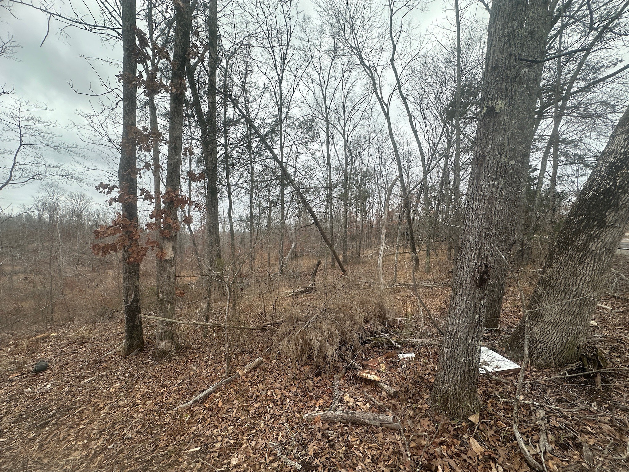 0 Glendale Rd Property Photo 2