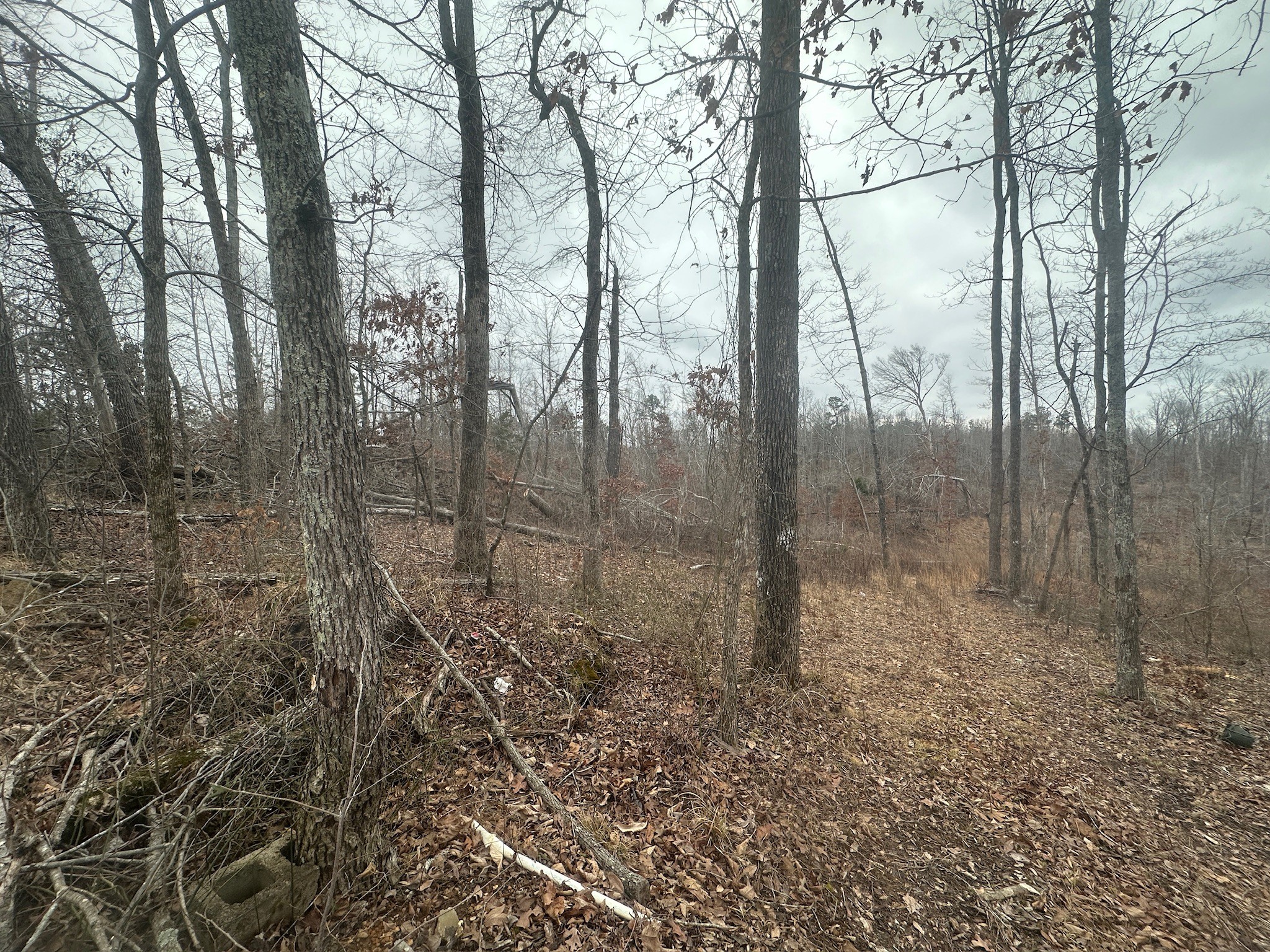 0 Glendale Rd Property Photo 5