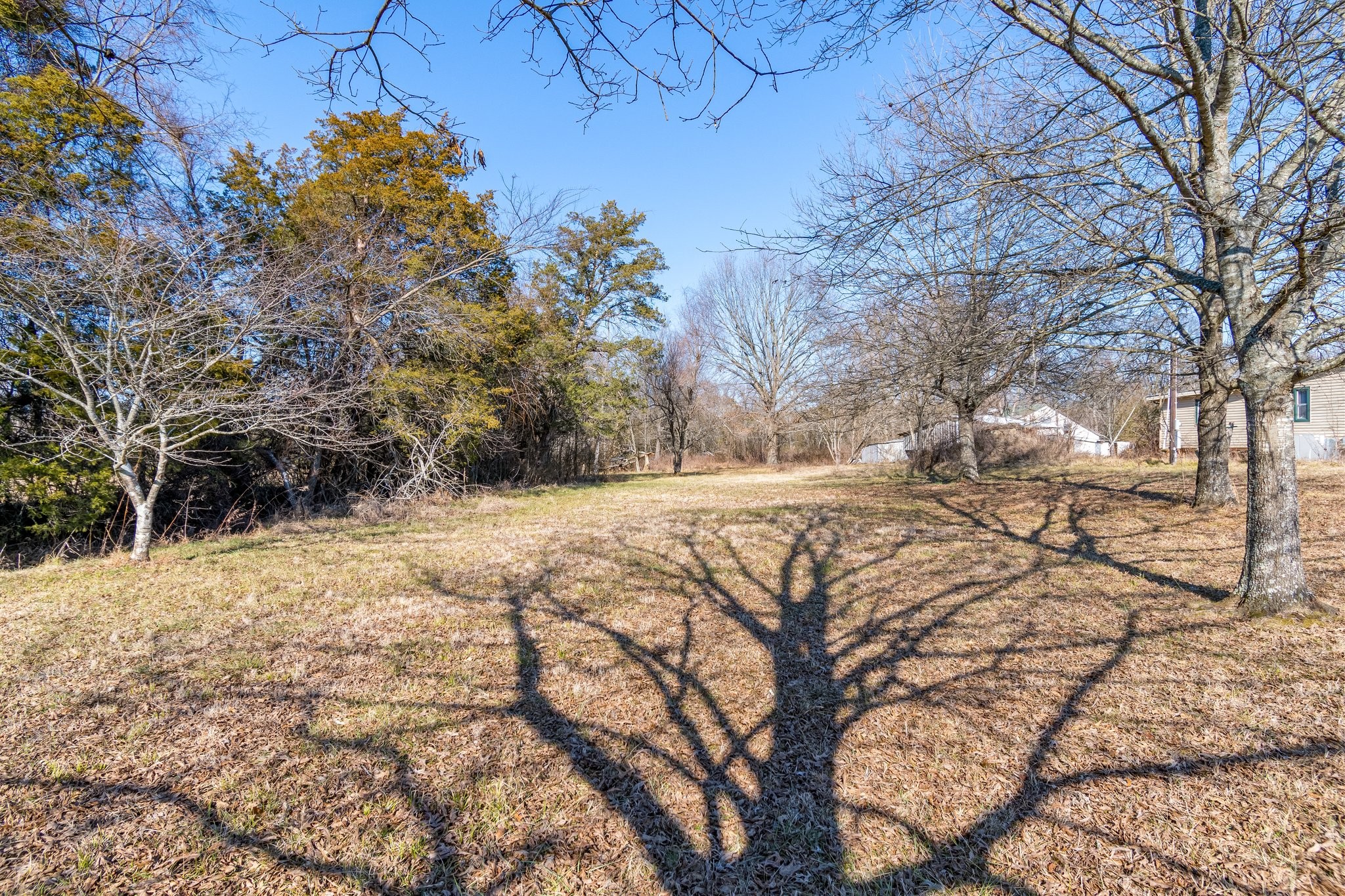 8391 Sims Rd Property Photo 2