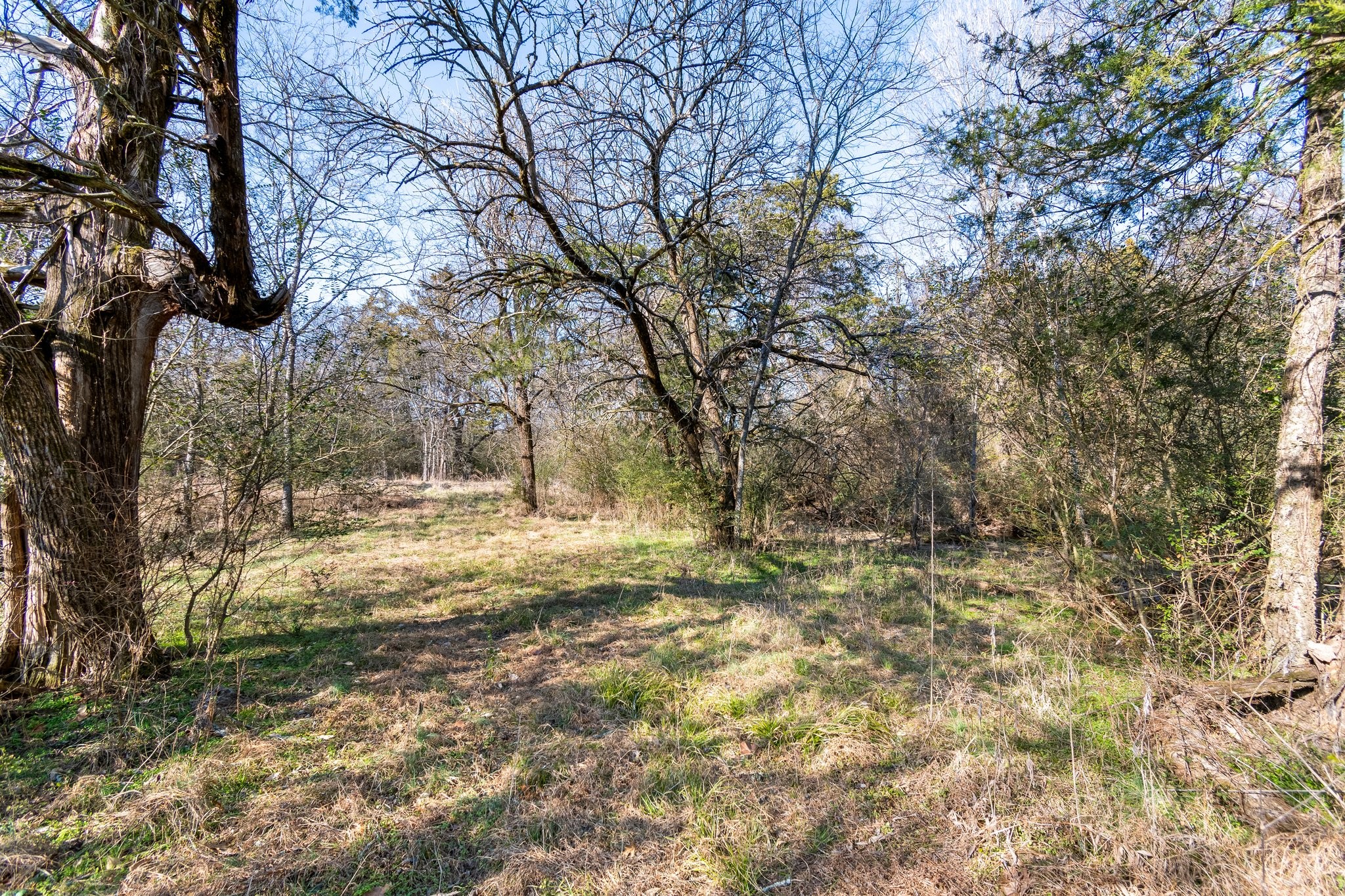 8391 Sims Rd Property Photo 4