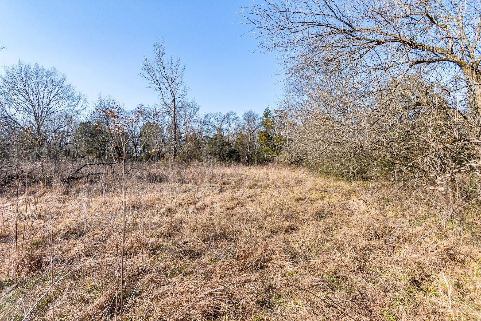 8391 Sims Rd Property Photo 5