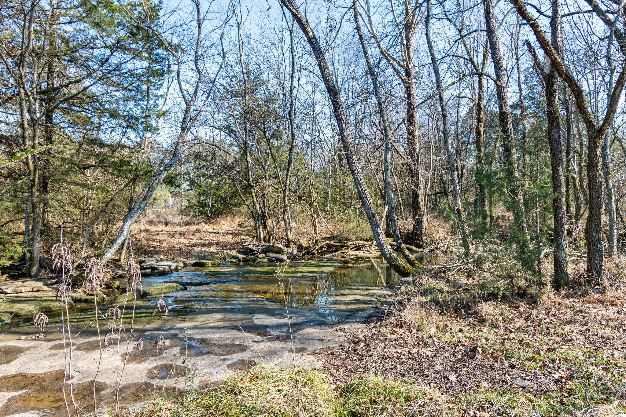 8391 Sims Rd Property Photo 21
