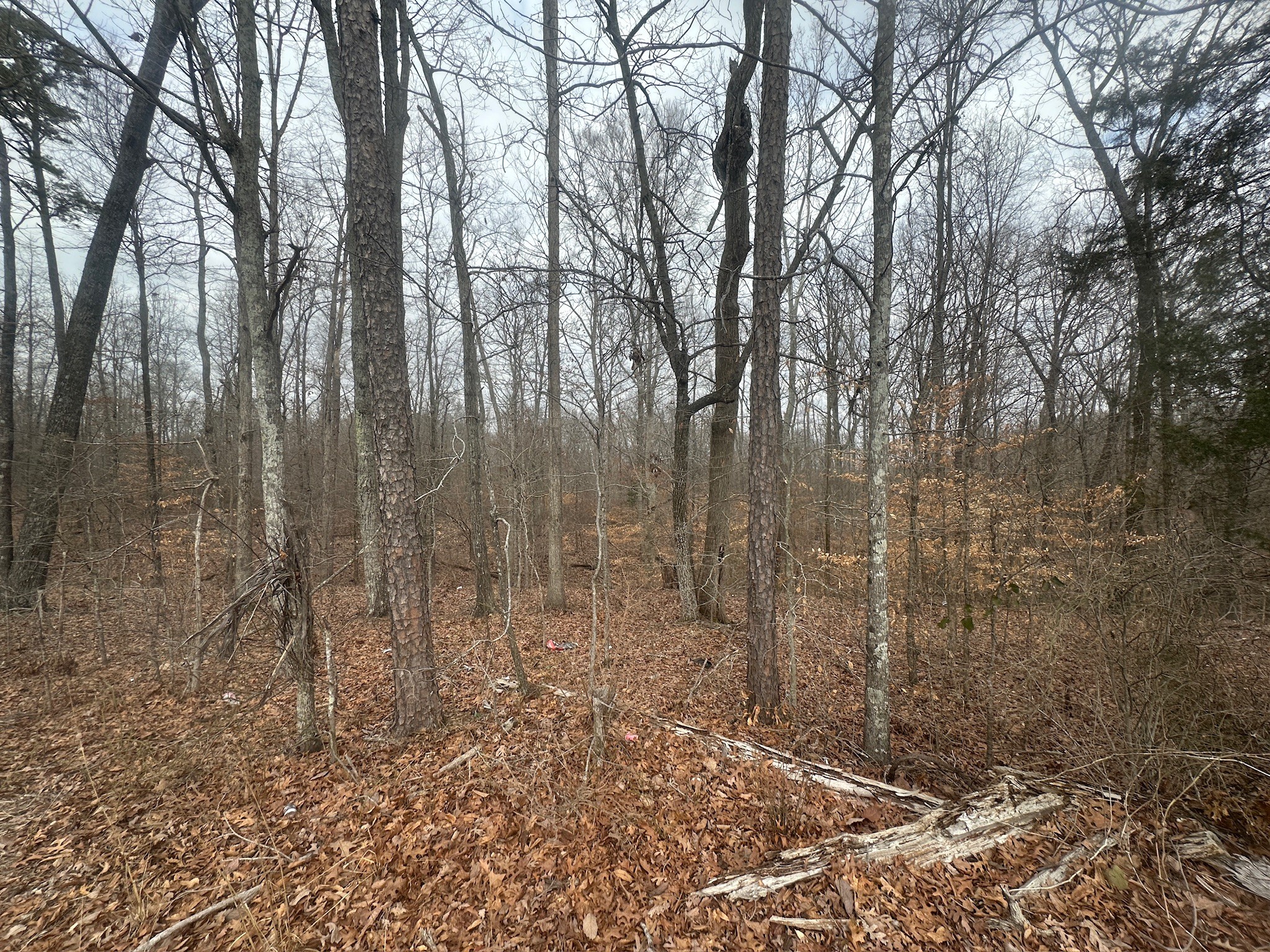 0 State Route 203 Property Photo