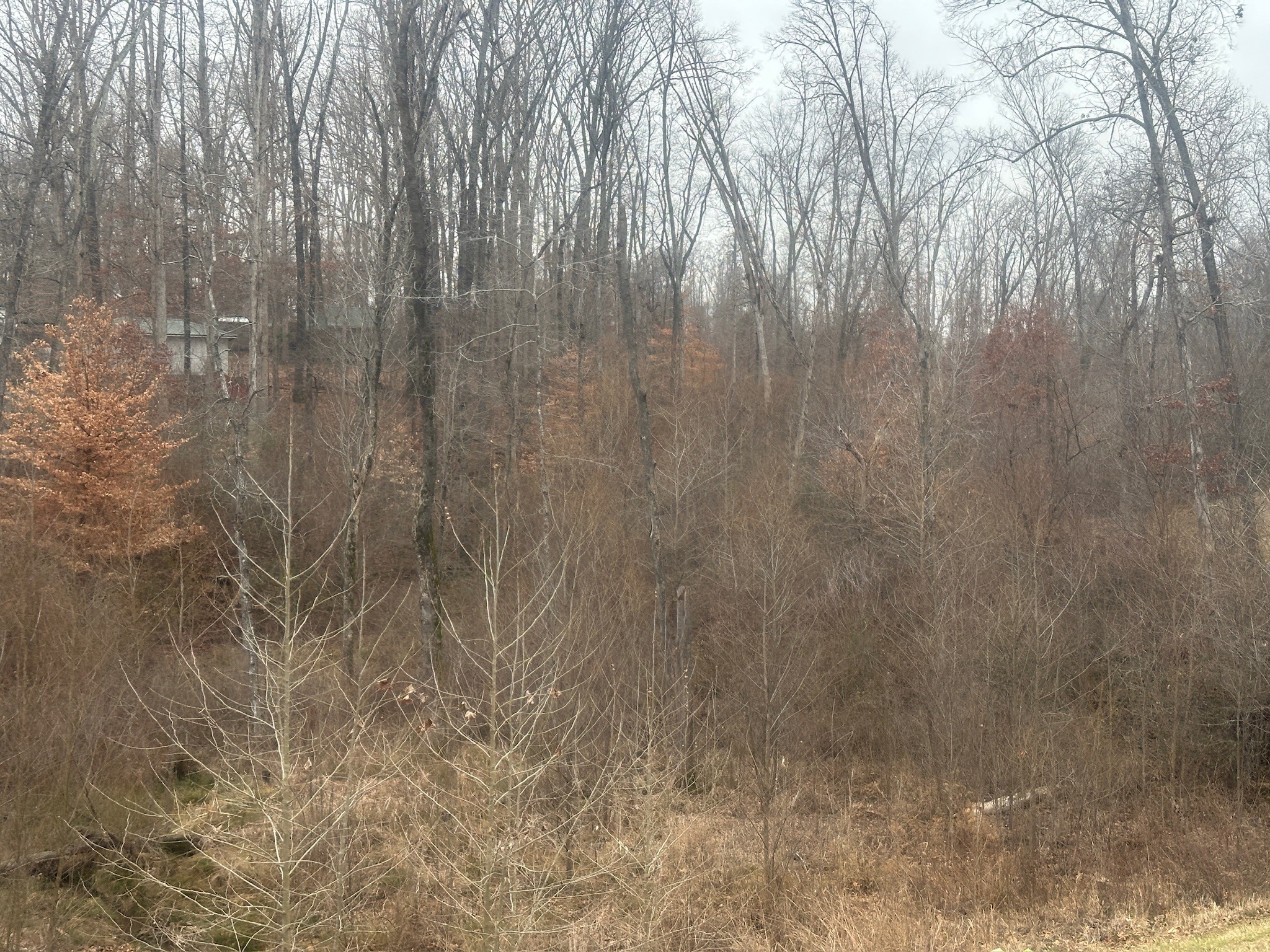 0 Highway 641, N Property Photo
