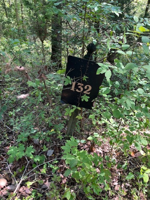 0 Maury Ln Property Photo 2