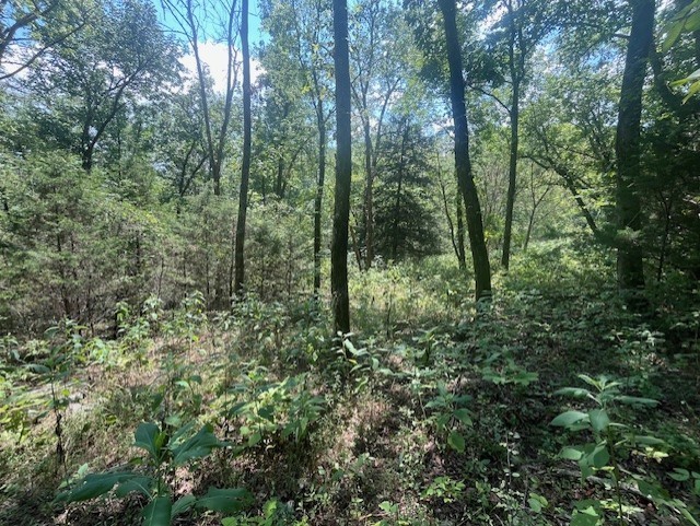 0 Maury Ln Property Photo 6