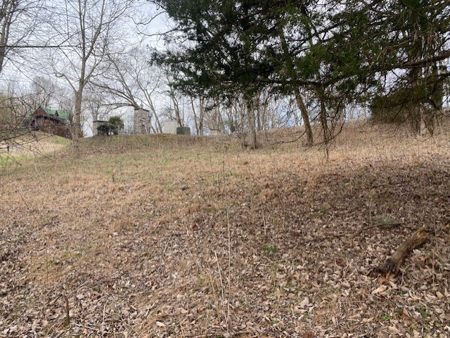 0 Maury Ln Property Photo 7