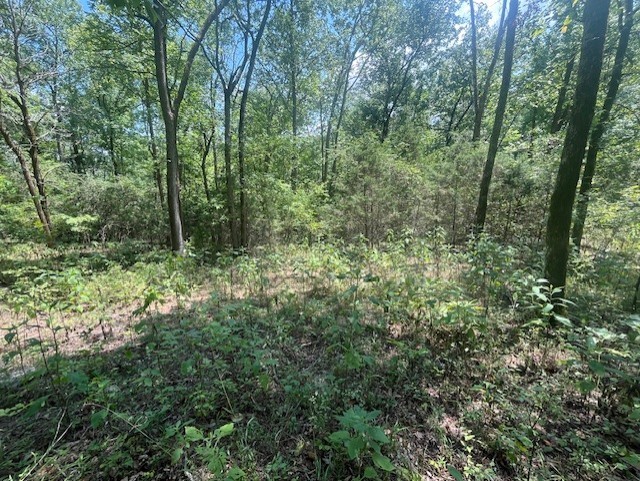 0 Maury Ln Property Photo 8