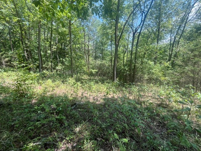 0 Maury Ln Property Photo 9