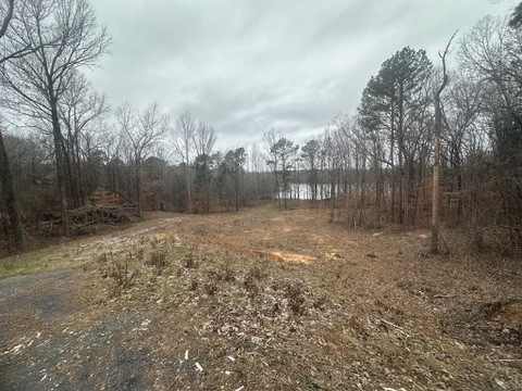 0 Medon Malesus Rd Property Photo 9