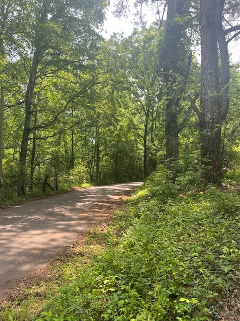 290 Moore Hollow Rd Property Photo 1