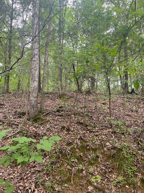 290 Moore Hollow Rd Property Photo 2