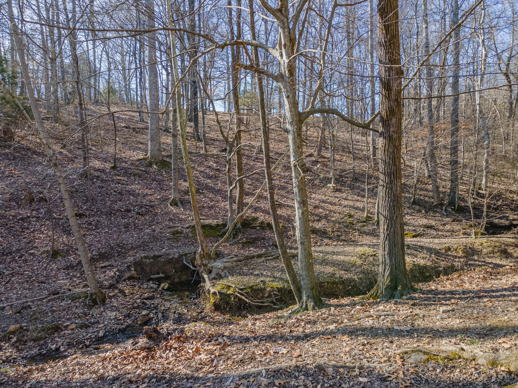 0 Simmons Ridge Rd Property Photo 10