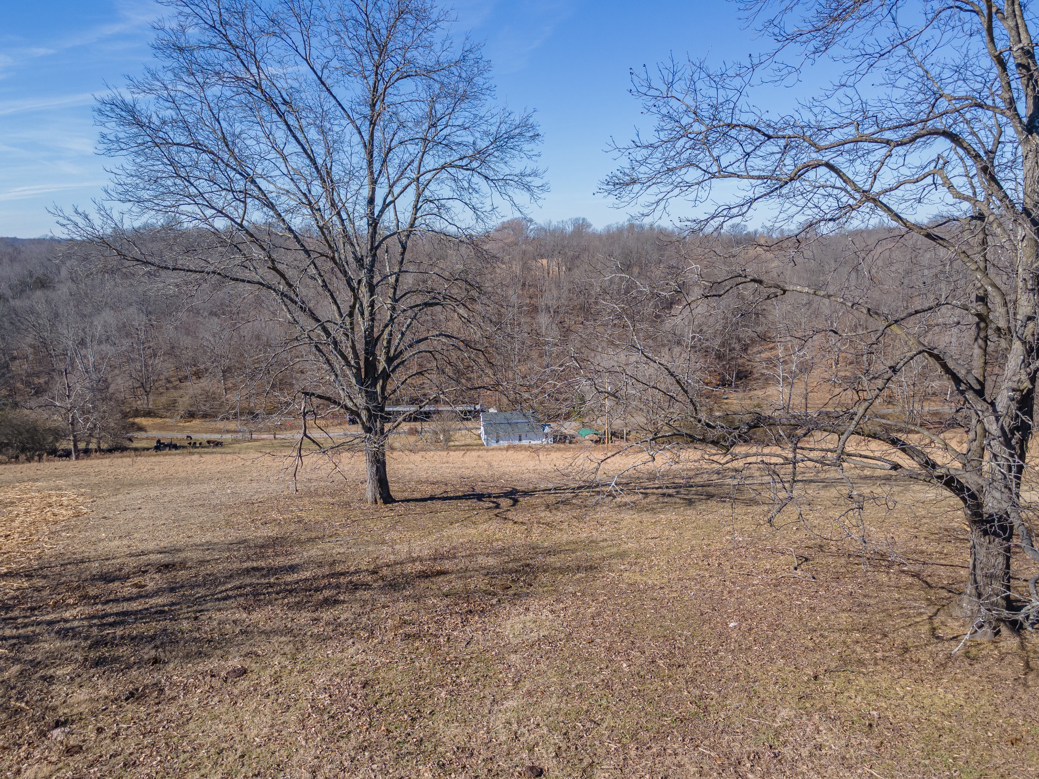0 Simmons Ridge Rd Property Photo 20