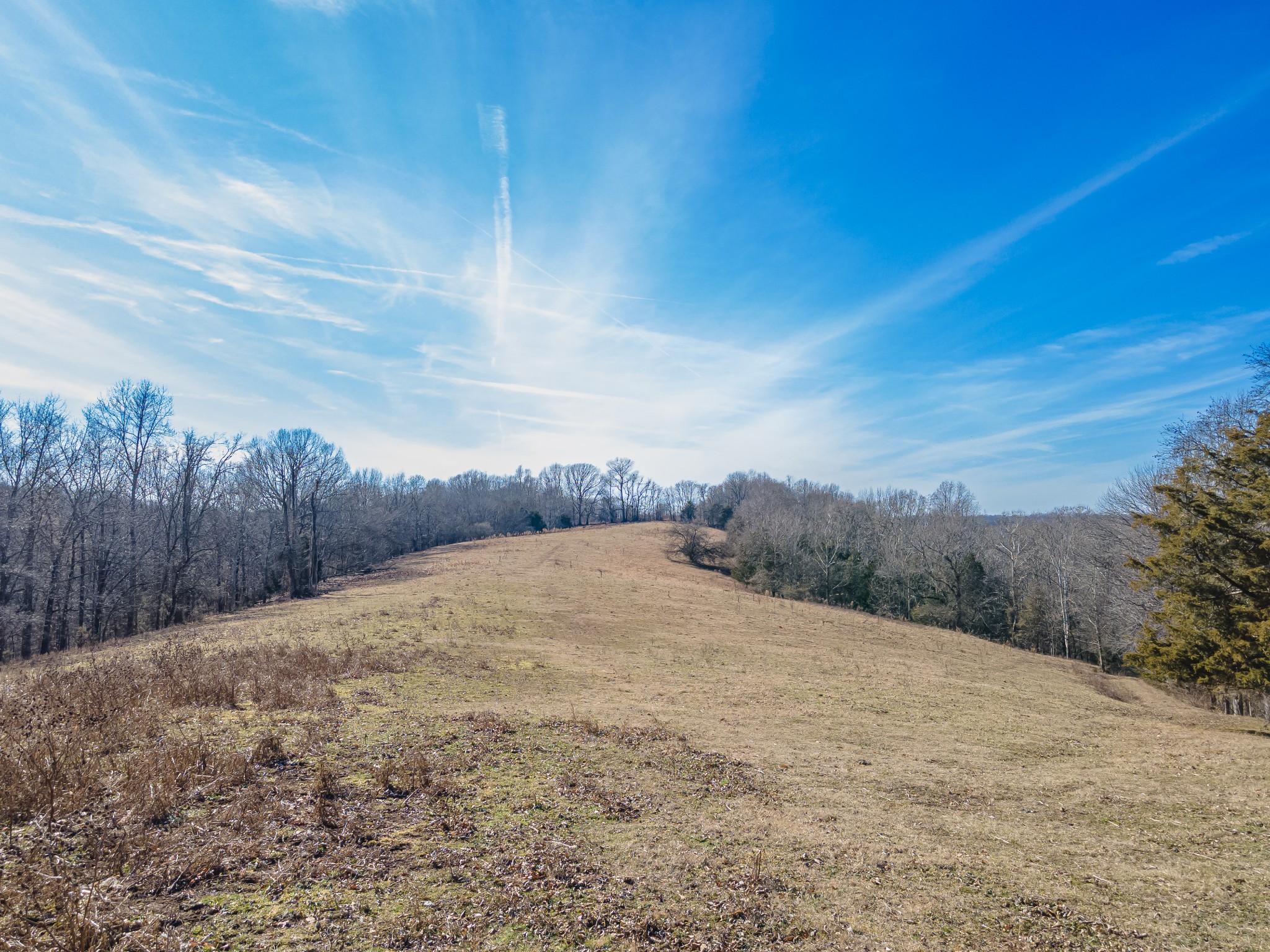 0 Simmons Ridge Rd Property Photo 35