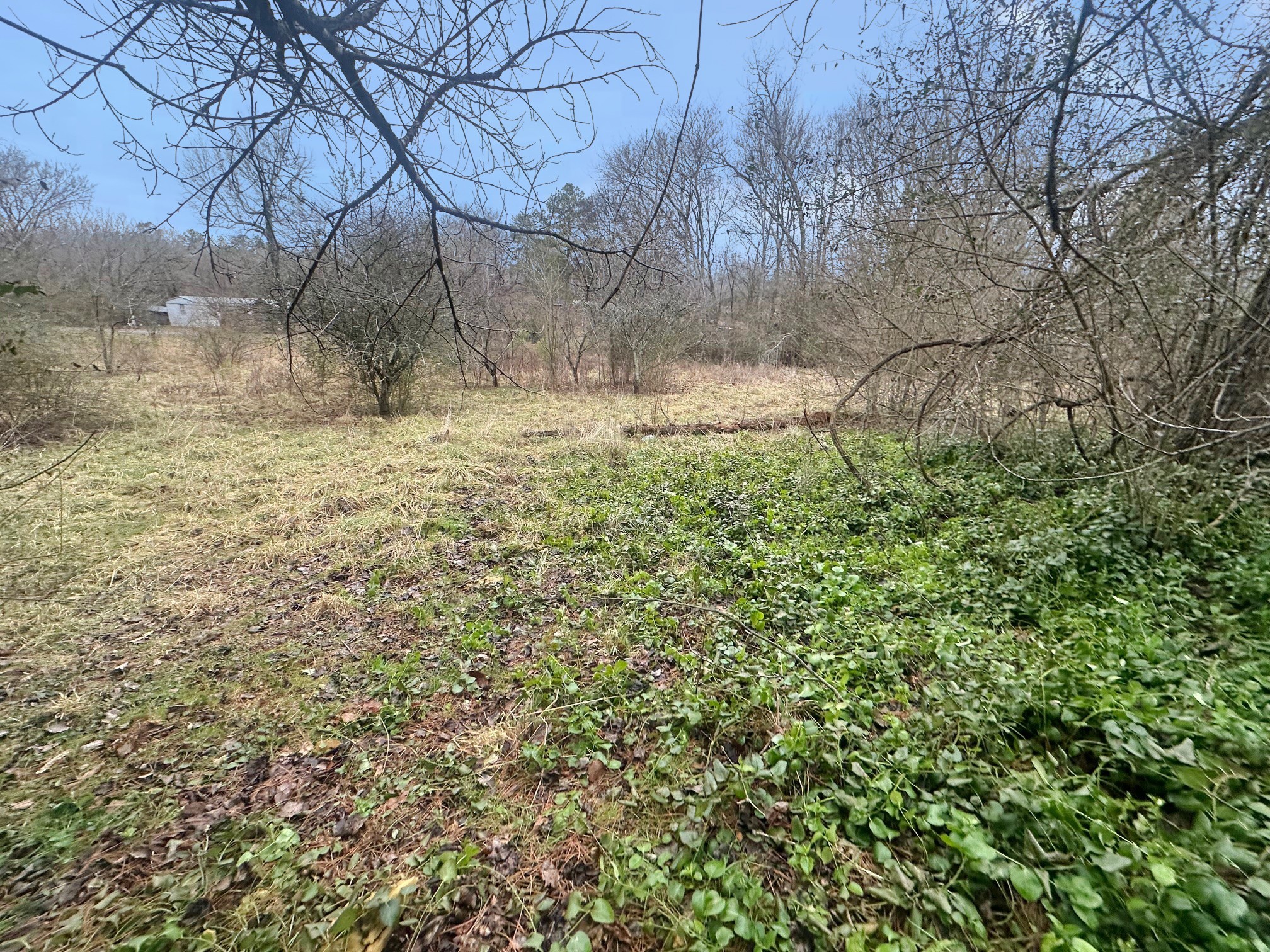 1155 Old Florence Rd Property Photo 15