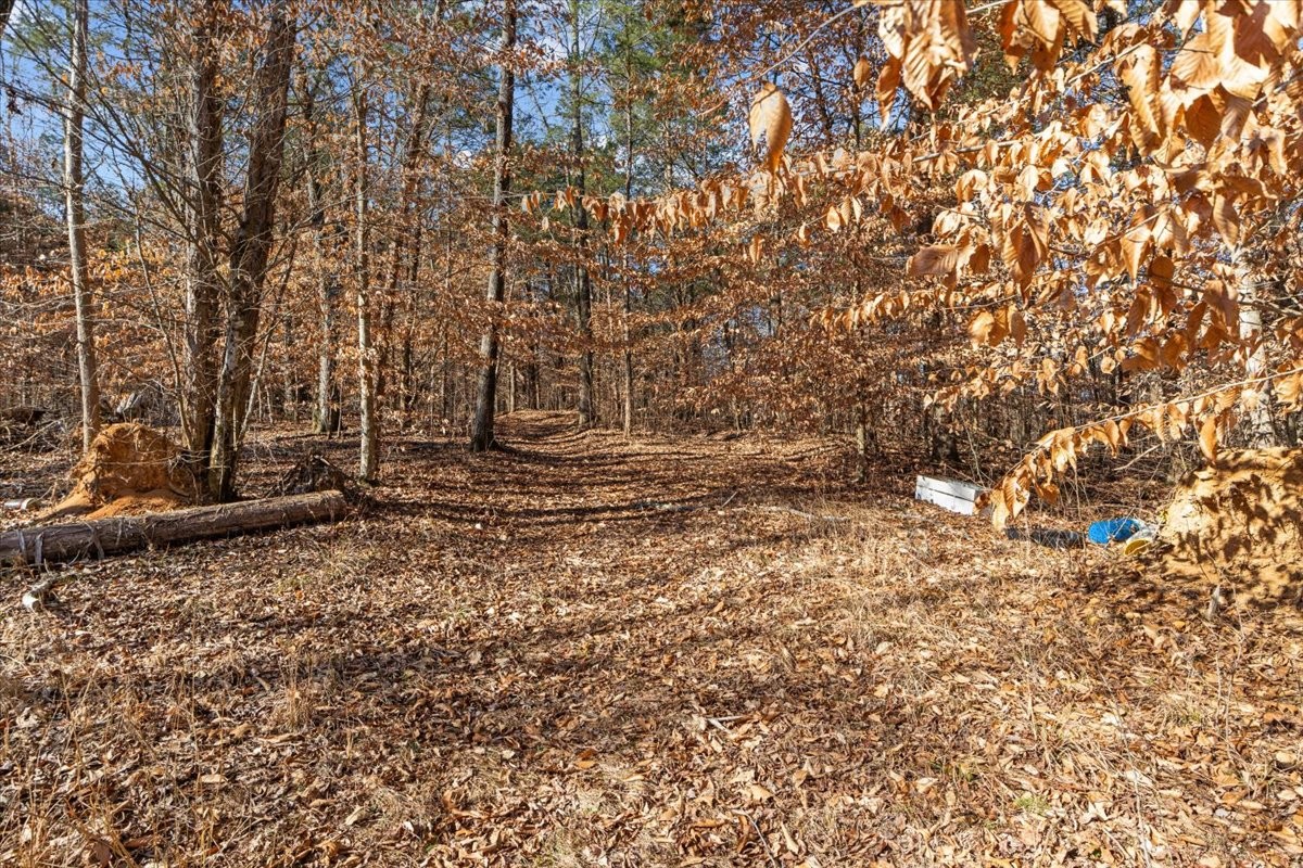 3571 Lick Creek Rd Property Photo 18
