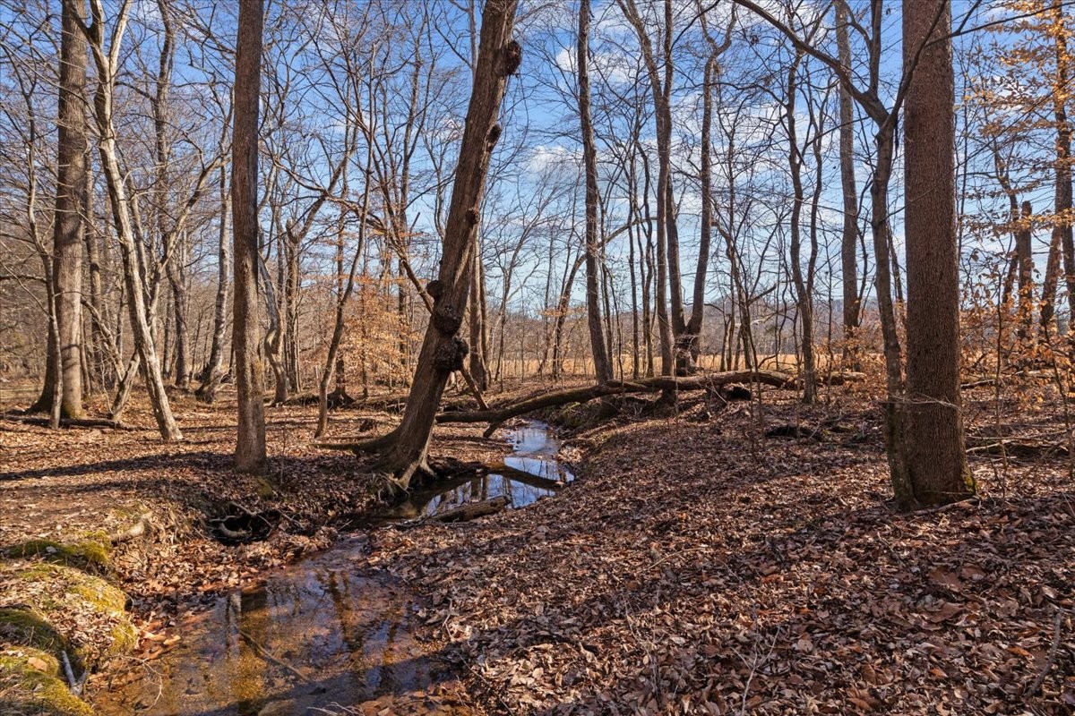 3571 Lick Creek Rd Property Photo 19