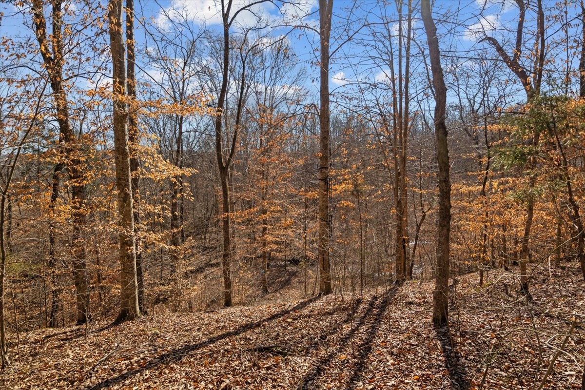 3571 Lick Creek Rd Property Photo 20