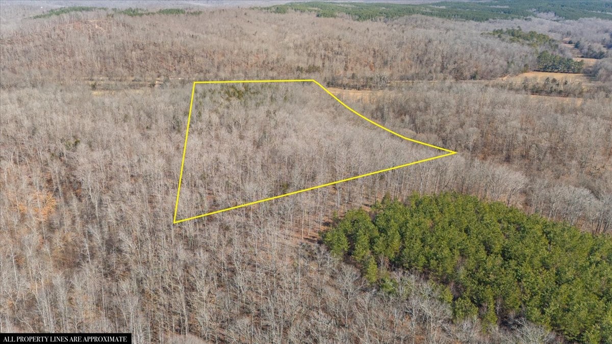 3571 Lick Creek Rd Property Photo 22