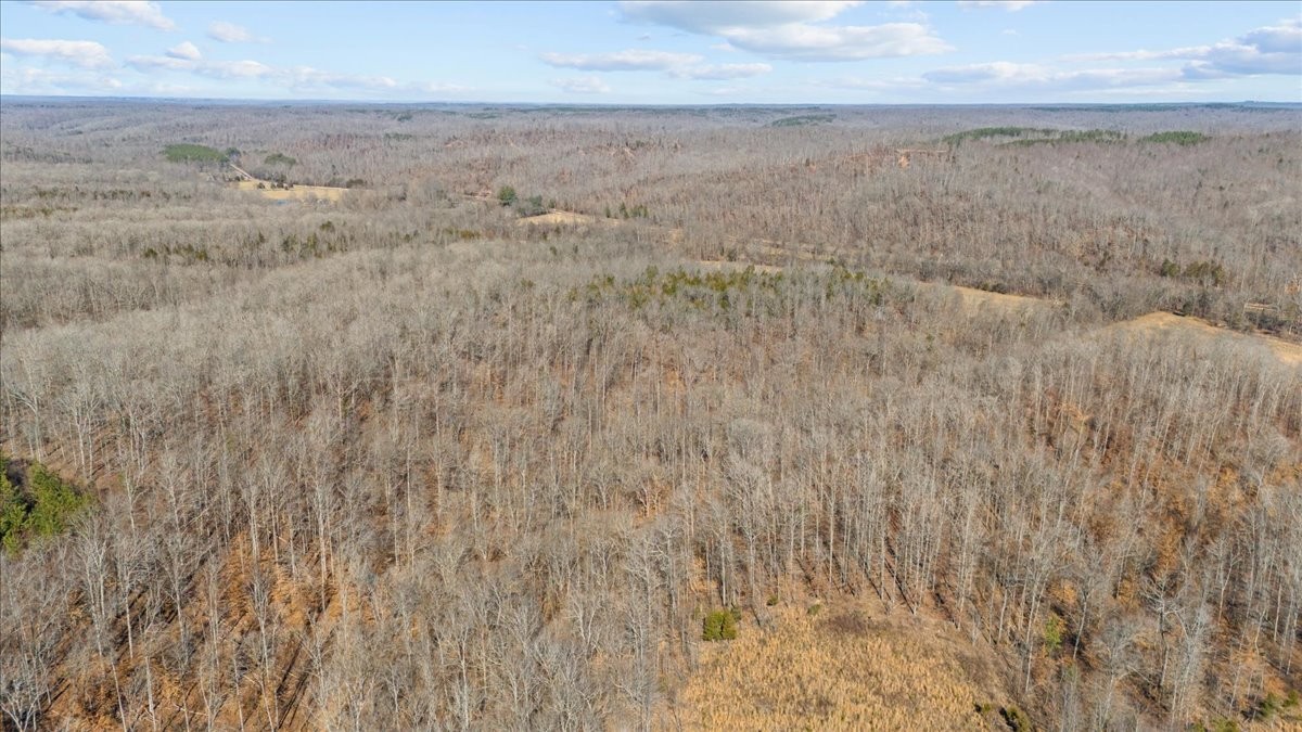 3571 Lick Creek Rd Property Photo 23