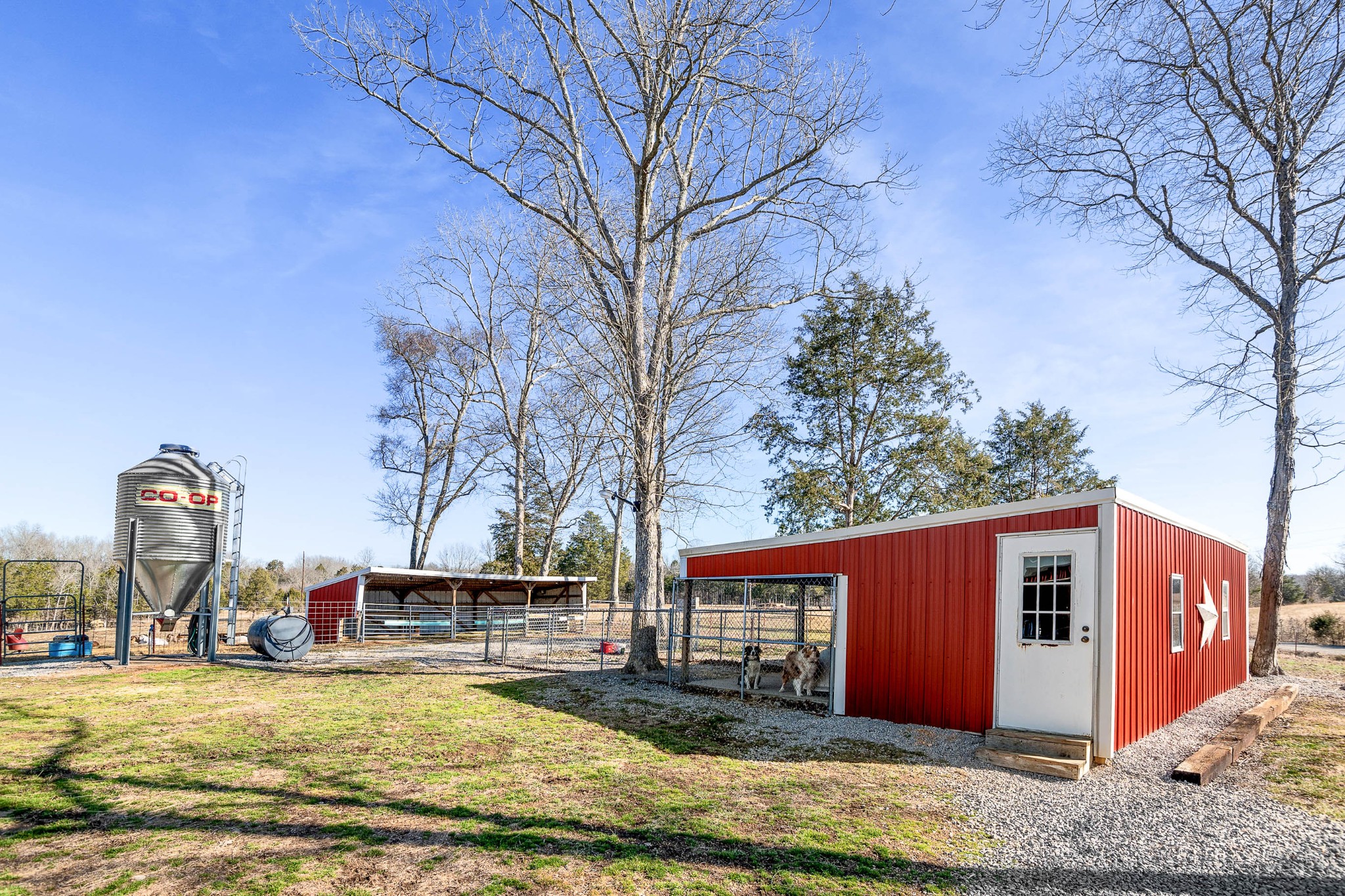 2824 Robert Truelove Rd Property Photo 6