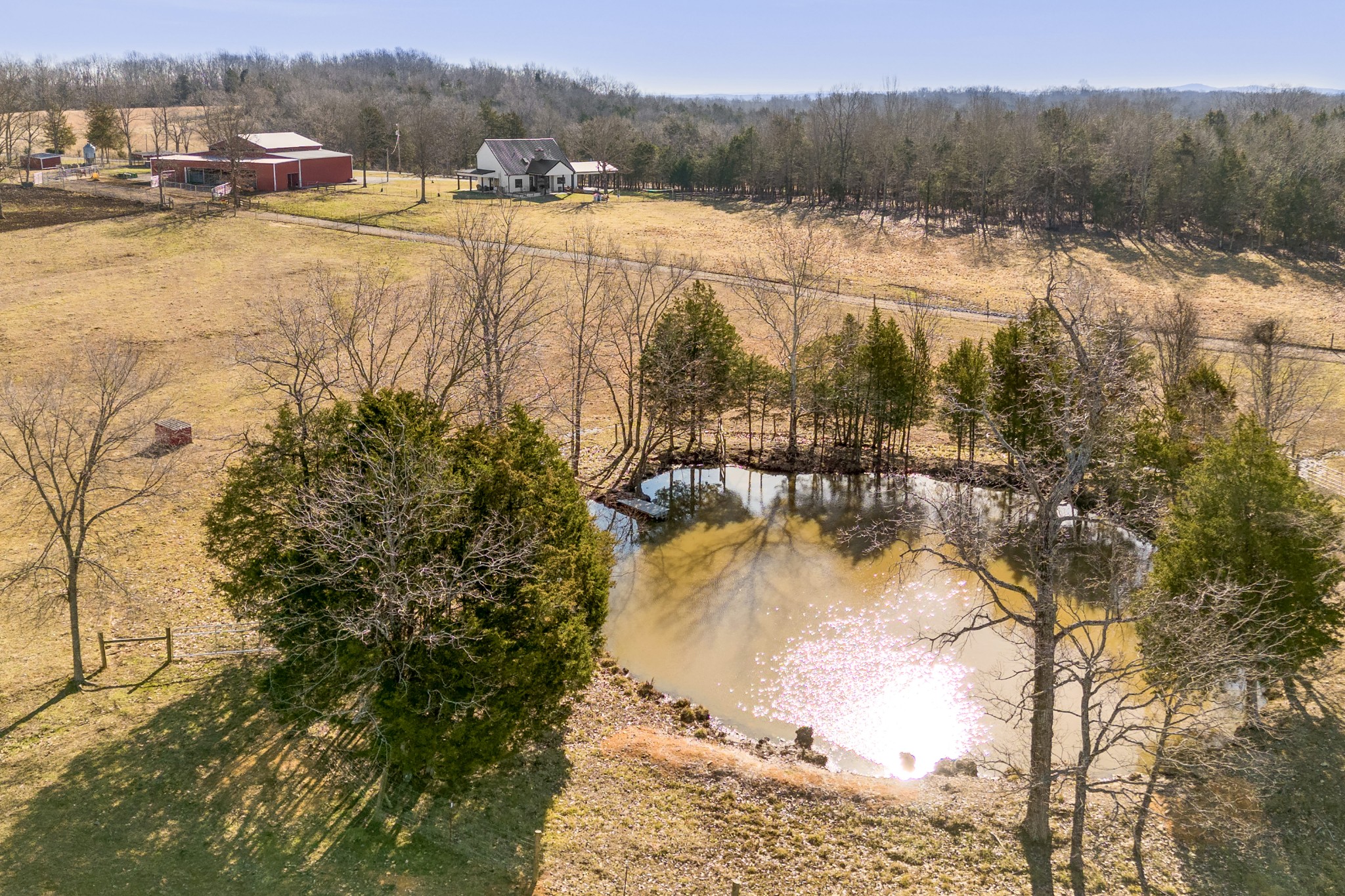 2824 Robert Truelove Rd Property Photo 19