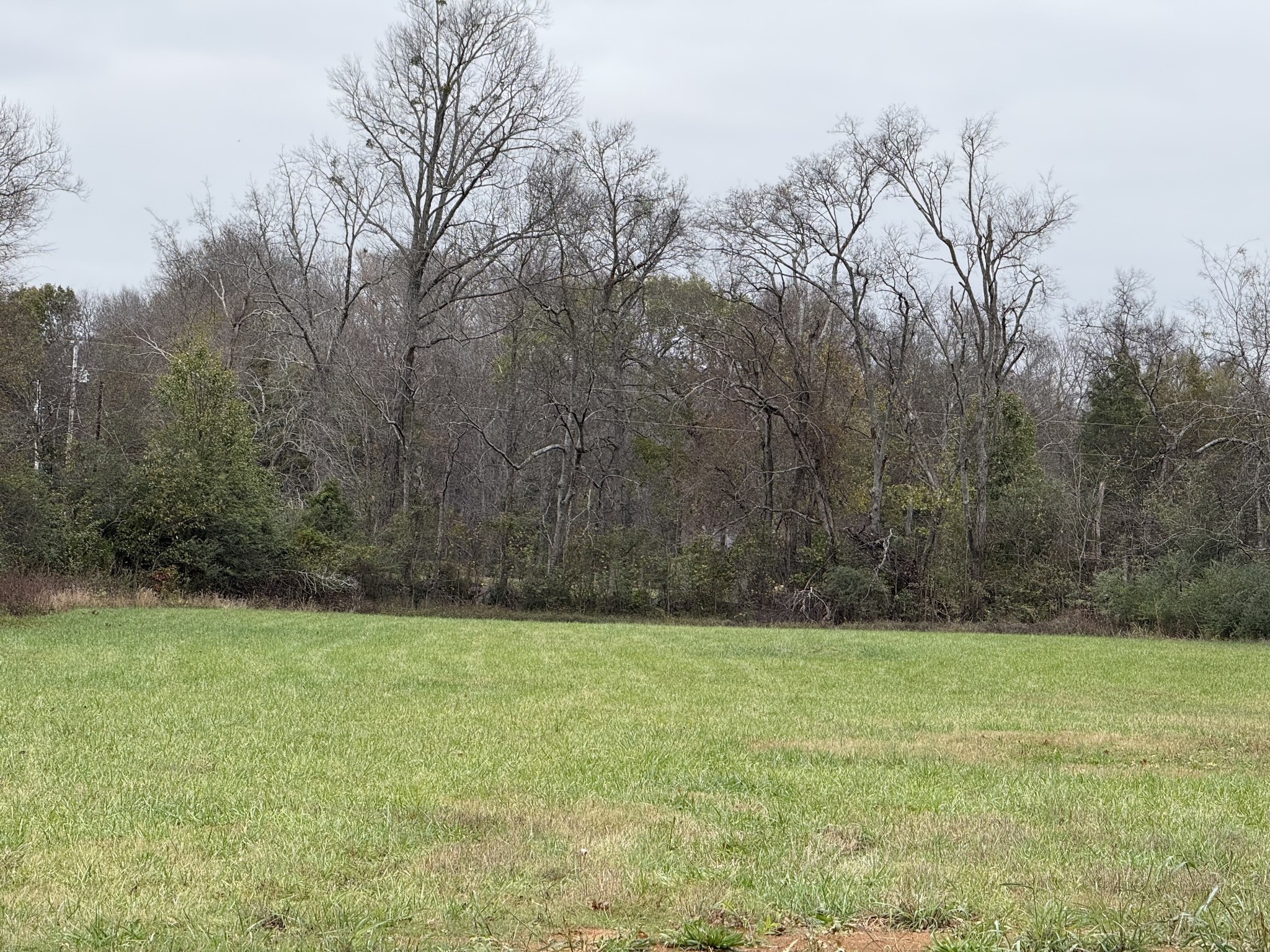 0 Old Nashville Dirt Rd Property Photo 1