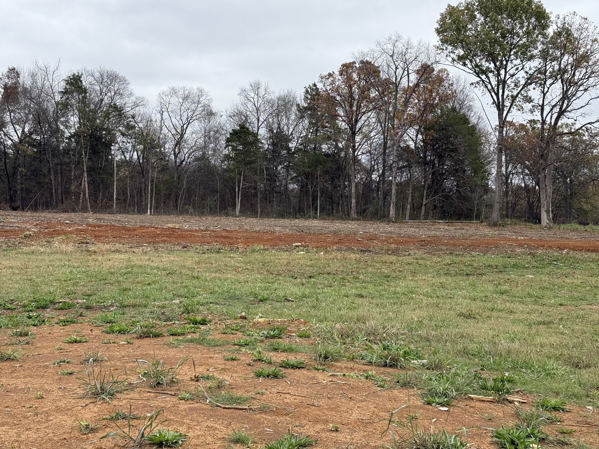 0 Old Nashville Dirt Rd Property Photo 3