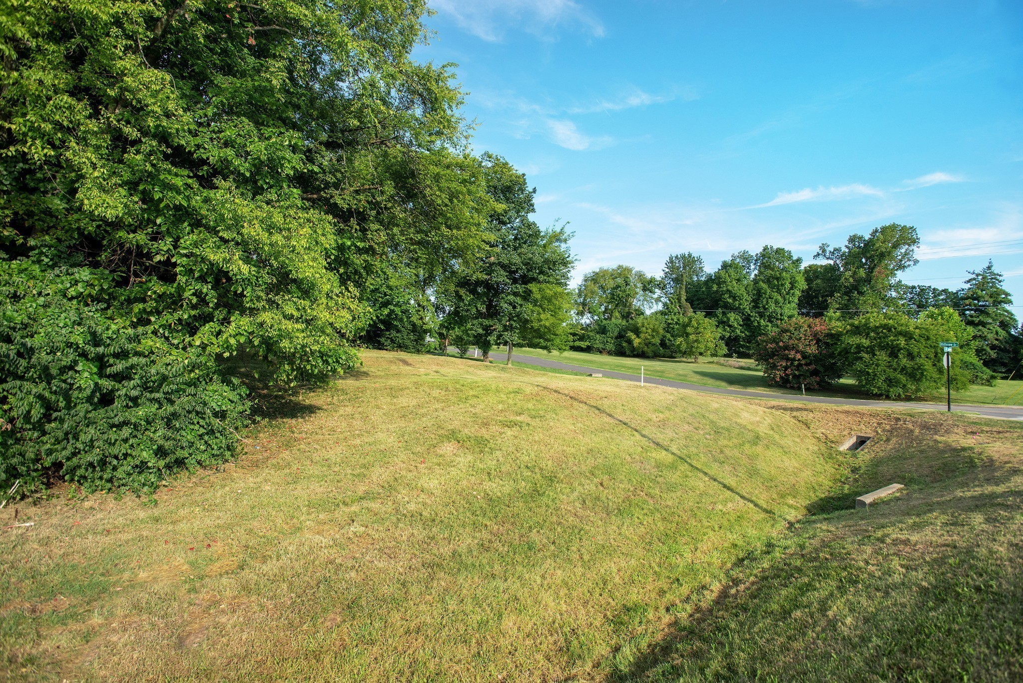 0 Mount Juliet Property Photo 7