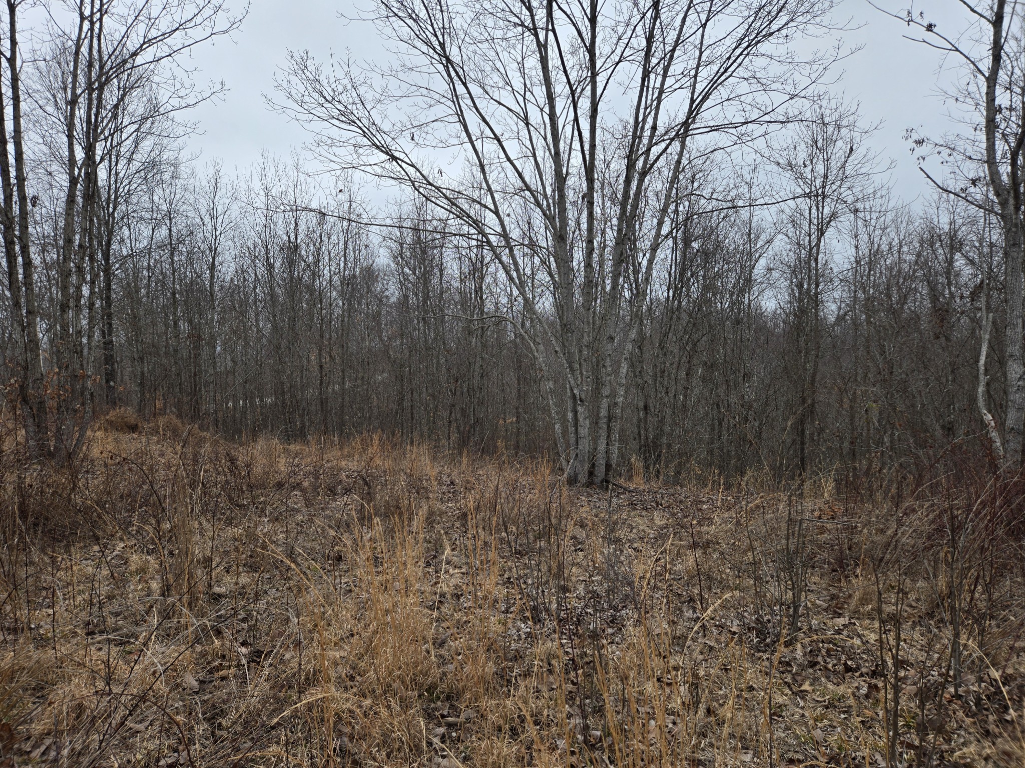 0 Overlook Trl Property Photo 2