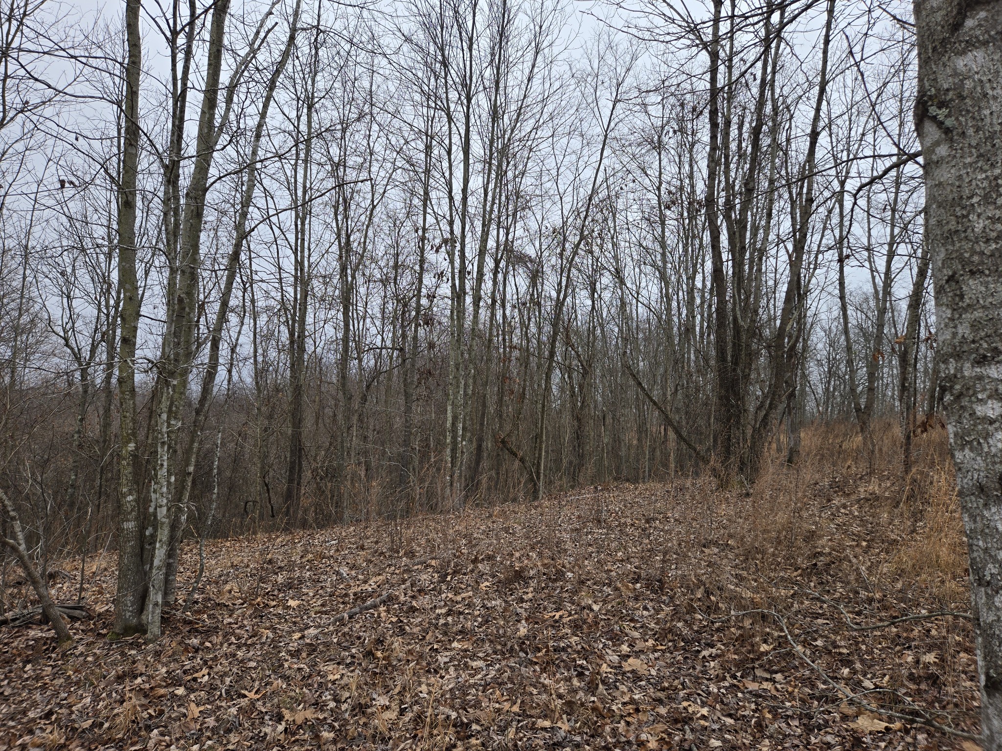 0 Overlook Trl Property Photo 3