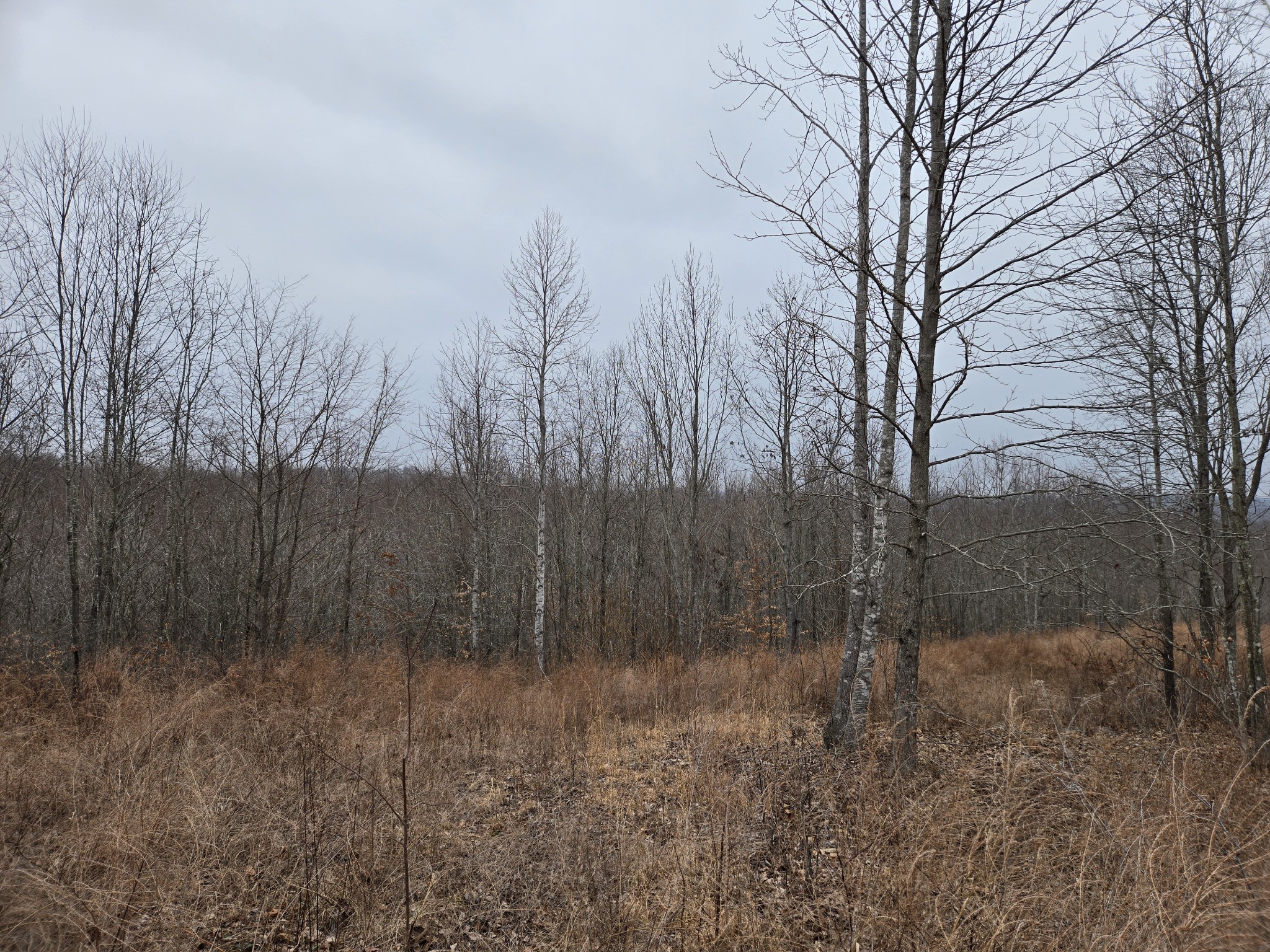 0 Overlook Trl Property Photo 5