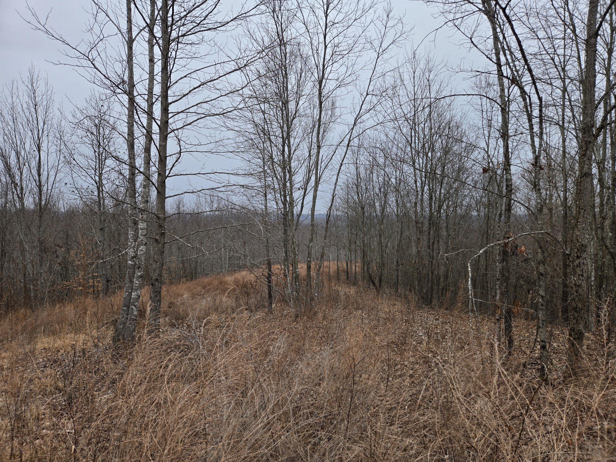 0 Overlook Trl Property Photo 6