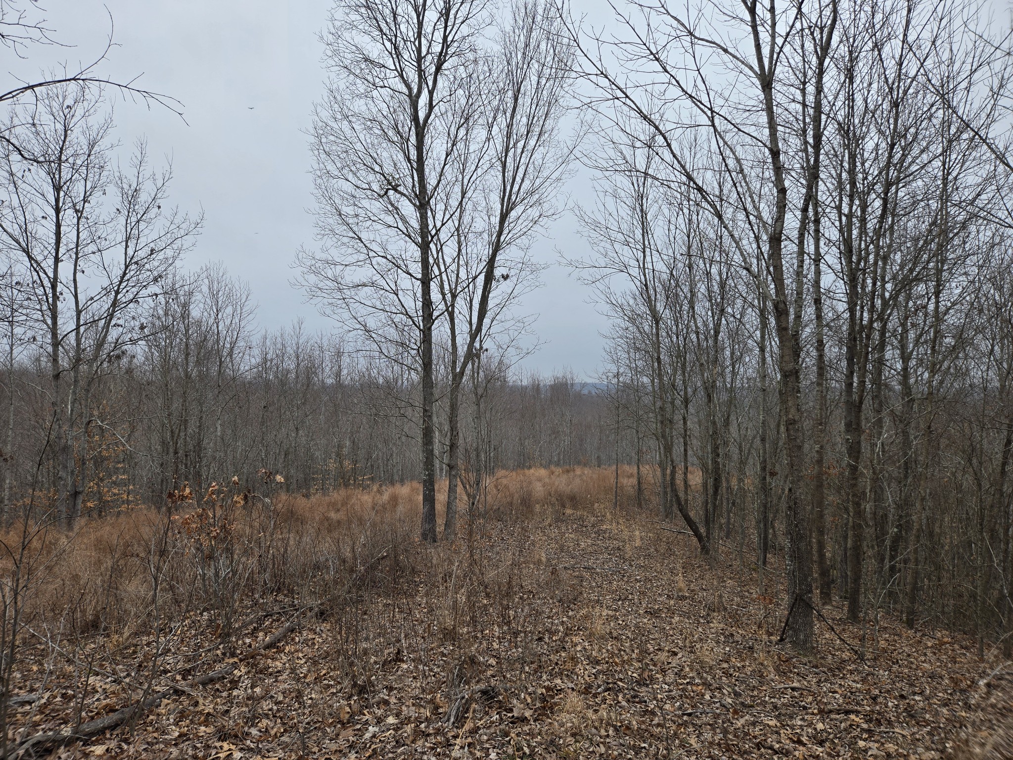 0 Overlook Trl Property Photo 7